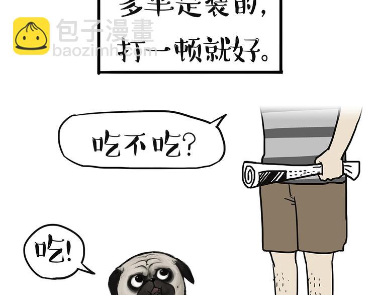 🍘吾皇巴扎黑 第51话 猫和狗的待遇就是不同 第35页