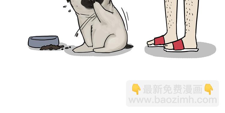🍘吾皇巴扎黑 第51话 猫和狗的待遇就是不同 第36页
