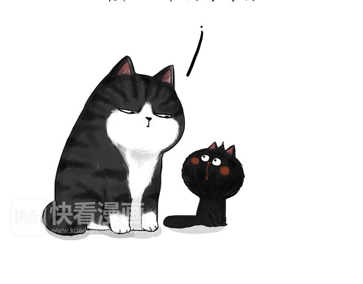 🍘吾皇巴扎黑 第51话 猫和狗的待遇就是不同 第5页