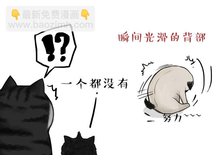 🍘吾皇巴扎黑 第51话 猫和狗的待遇就是不同 第7页