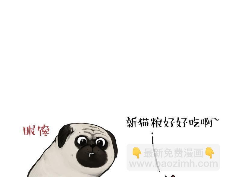 🍘吾皇巴扎黑 第51话 猫和狗的待遇就是不同 第8页