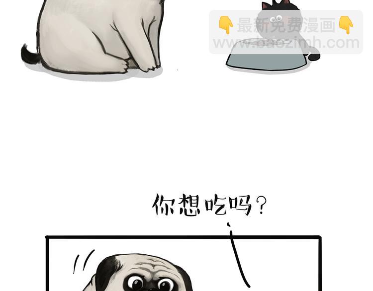 🍘吾皇巴扎黑 第51话 猫和狗的待遇就是不同 第9页