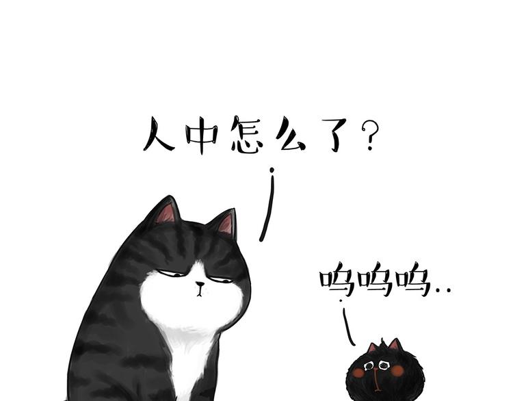 🍘吾皇巴扎黑 第53话 宠物的压力 第1页