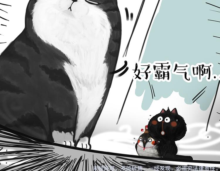 🍘吾皇巴扎黑 第53话 宠物的压力 第10页