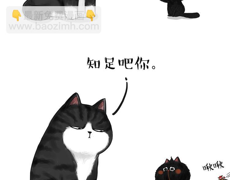 🍘吾皇巴扎黑 第53话 宠物的压力 第3页