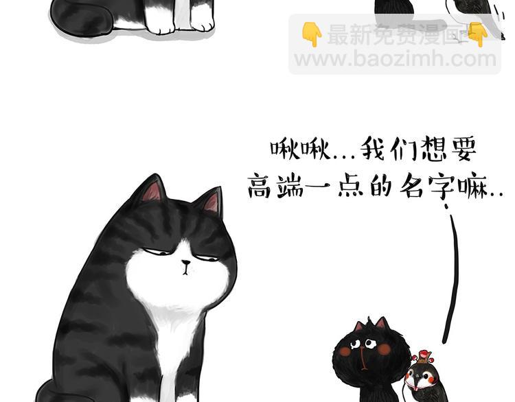 🍘吾皇巴扎黑 第53话 宠物的压力 第5页