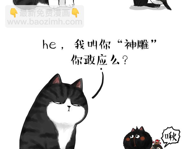 🍘吾皇巴扎黑 第53话 宠物的压力 第6页