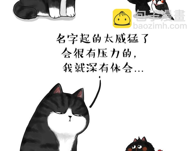 🍘吾皇巴扎黑 第53话 宠物的压力 第7页