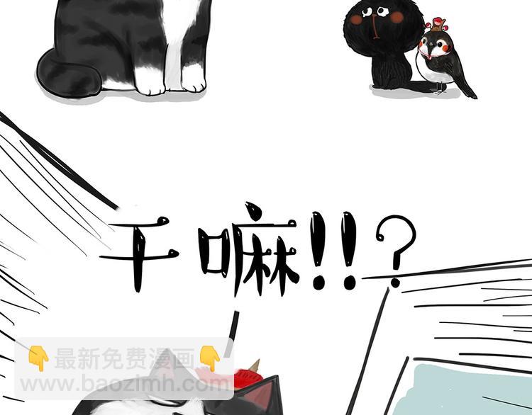 🍘吾皇巴扎黑 第53话 宠物的压力 第9页