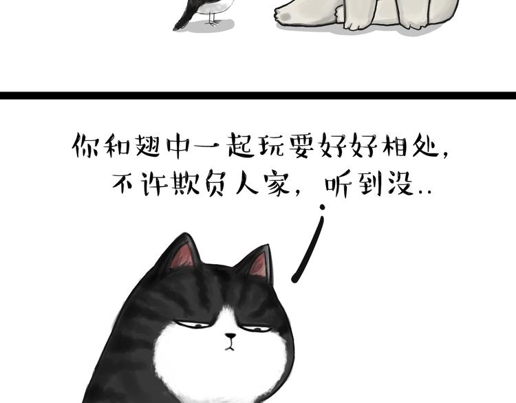 🍘吾皇巴扎黑 第57话 宠物太粘人是什么体验 第11页