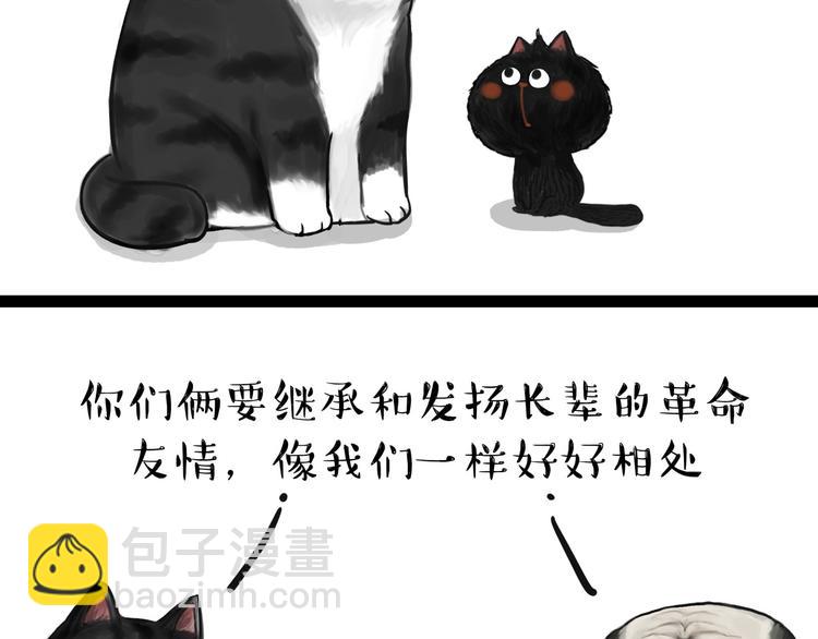 🍘吾皇巴扎黑 第57话 宠物太粘人是什么体验 第12页