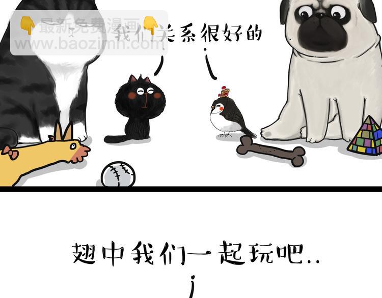 🍘吾皇巴扎黑 第57话 宠物太粘人是什么体验 第13页