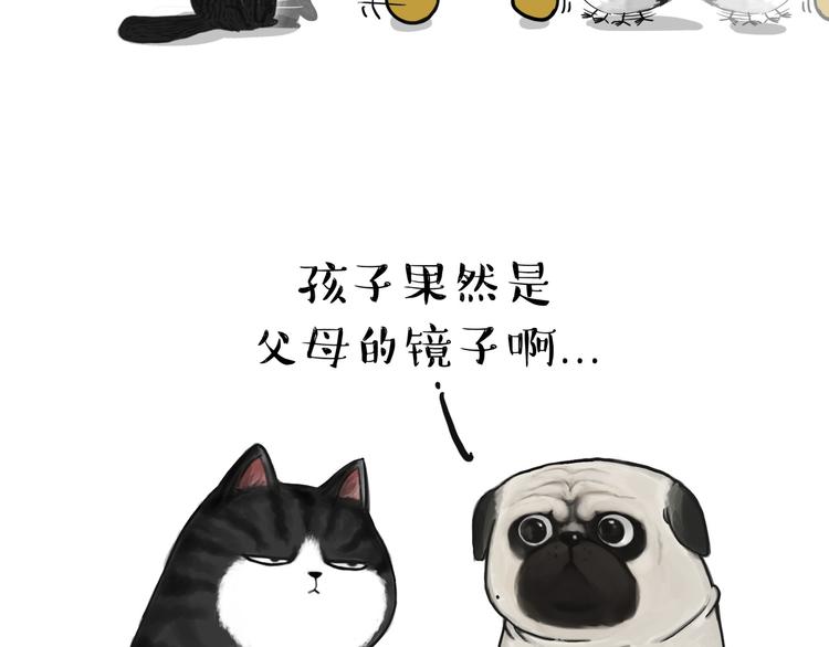 🍘吾皇巴扎黑 第57话 宠物太粘人是什么体验 第17页