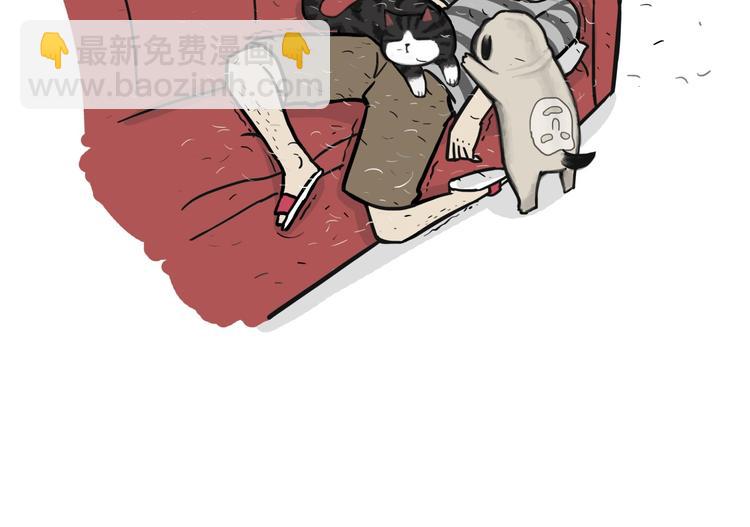 🍘吾皇巴扎黑 第57话 宠物太粘人是什么体验 第9页
