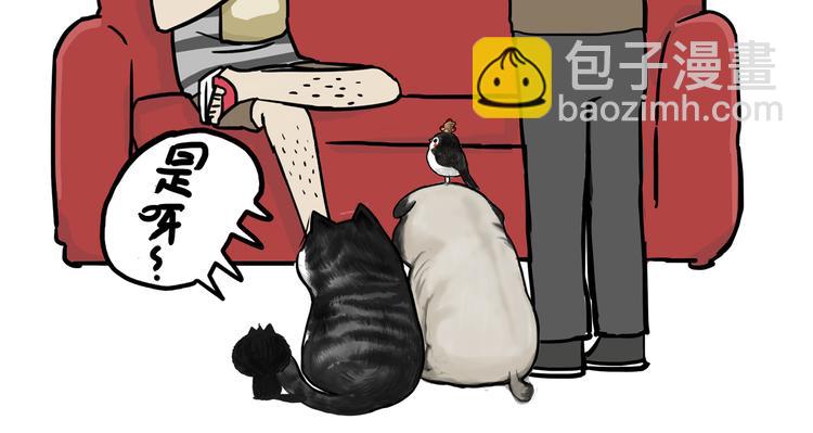🍘吾皇巴扎黑 第59话 家里要断粮 第11页