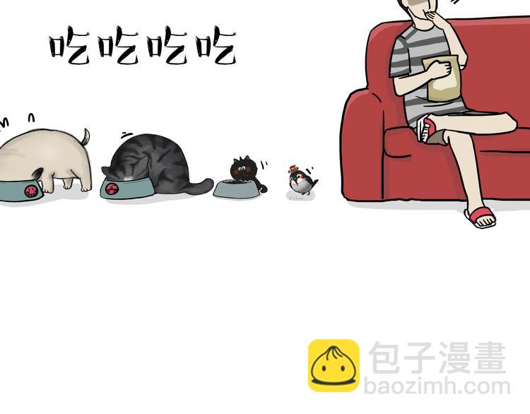 🍘吾皇巴扎黑 第59话 家里要断粮 第3页