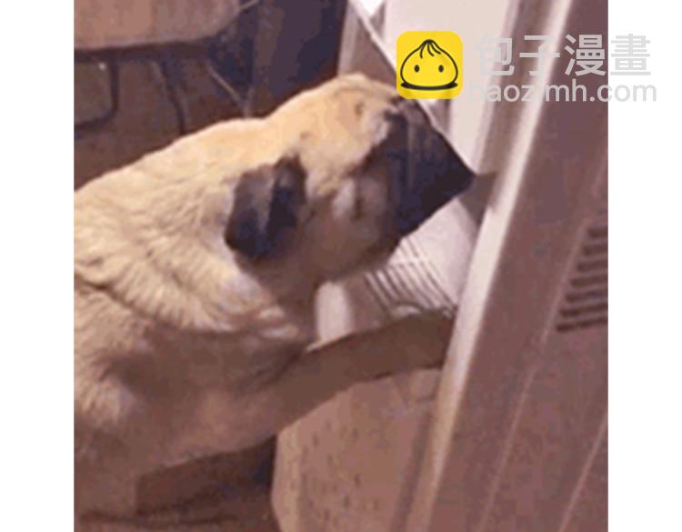 🍘吾皇巴扎黑 第59话 家里要断粮 第37页