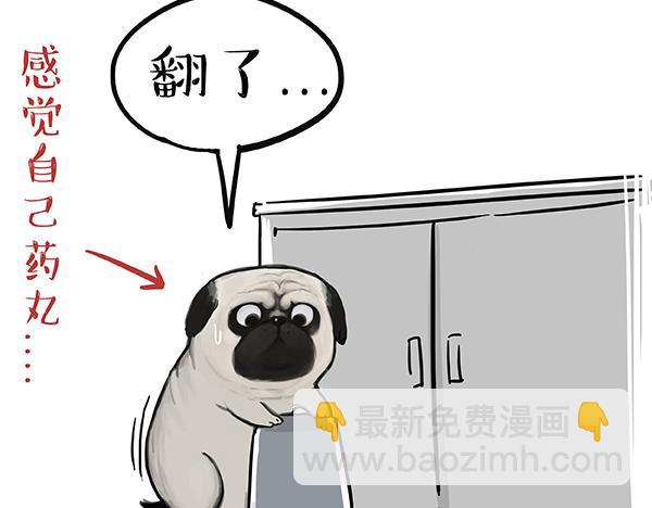 🍘吾皇巴扎黑 第67话 告诉你一个小秘密 第12页