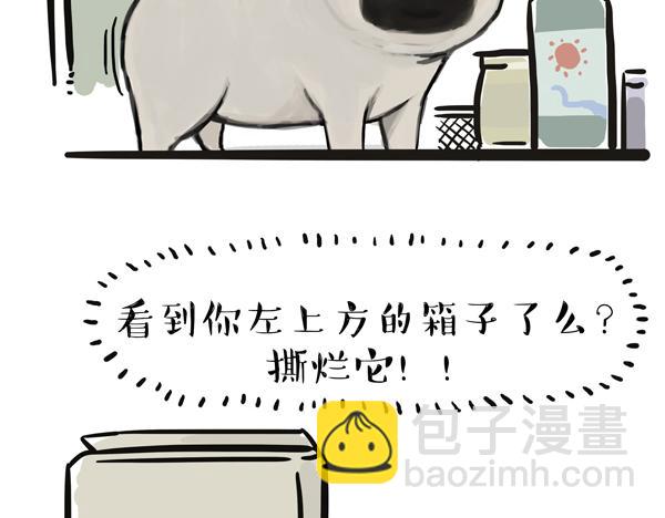 🍘吾皇巴扎黑 第67话 告诉你一个小秘密 第19页