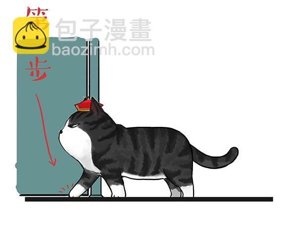 🍘吾皇巴扎黑 第71话 撸猫神器 第12页