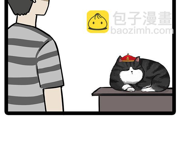 🍘吾皇巴扎黑 第71话 撸猫神器 第17页