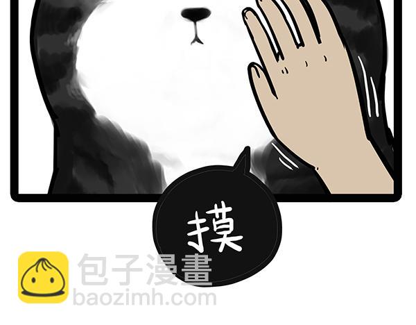 🍘吾皇巴扎黑 第71话 撸猫神器 第19页