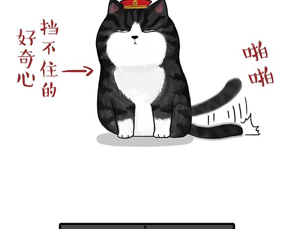 🍘吾皇巴扎黑 第71话 撸猫神器 第5页