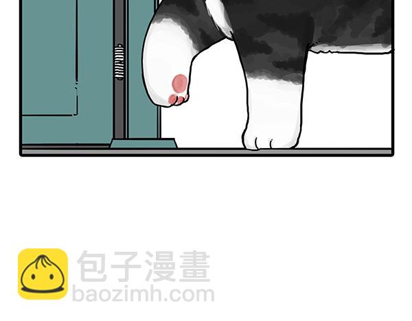 🍘吾皇巴扎黑 第71话 撸猫神器 第9页