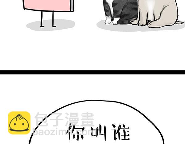 🍘吾皇巴扎黑 第73话 你才是肥仔嘞 第11页