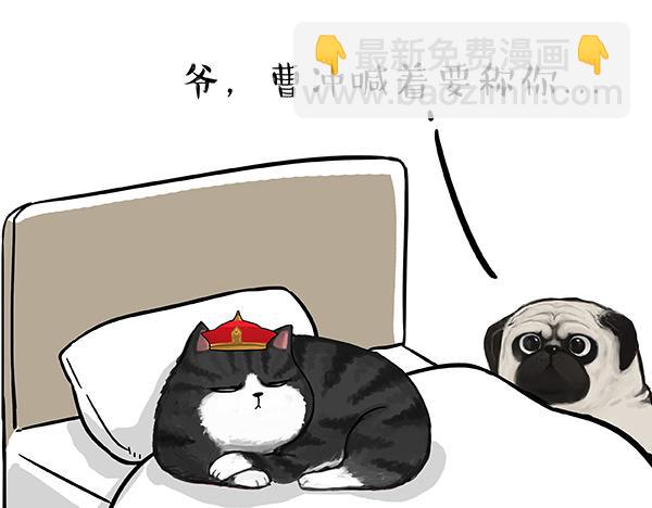 🍘吾皇巴扎黑 第73话 你才是肥仔嘞 第14页