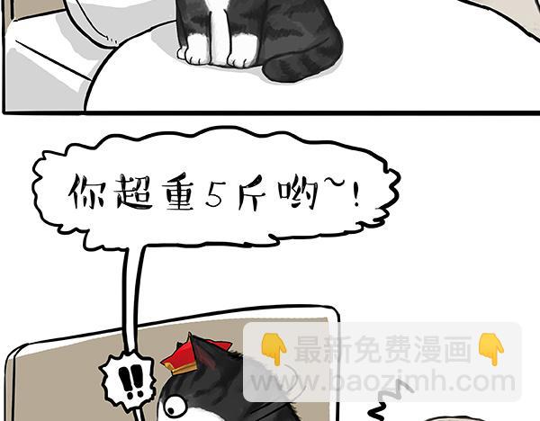 🍘吾皇巴扎黑 第73话 你才是肥仔嘞 第16页