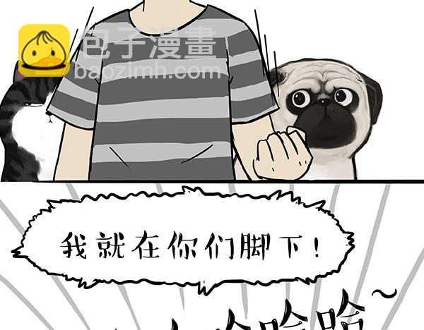 🍘吾皇巴扎黑 第73话 你才是肥仔嘞 第24页