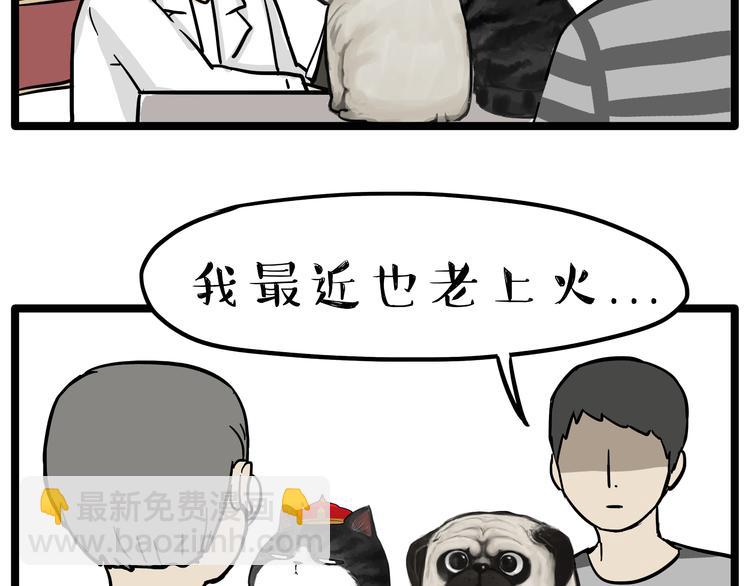 🍘吾皇巴扎黑 第79话 带宠物看病（下） 第10页