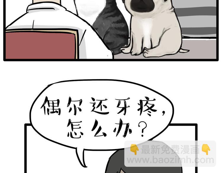 🍘吾皇巴扎黑 第79话 带宠物看病（下） 第11页