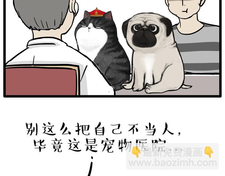 🍘吾皇巴扎黑 第79话 带宠物看病（下） 第13页