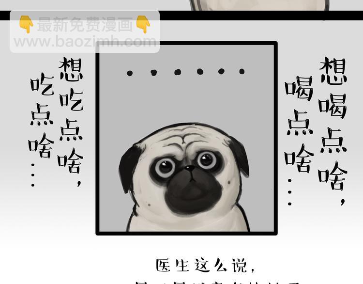🍘吾皇巴扎黑 第79话 带宠物看病（下） 第19页