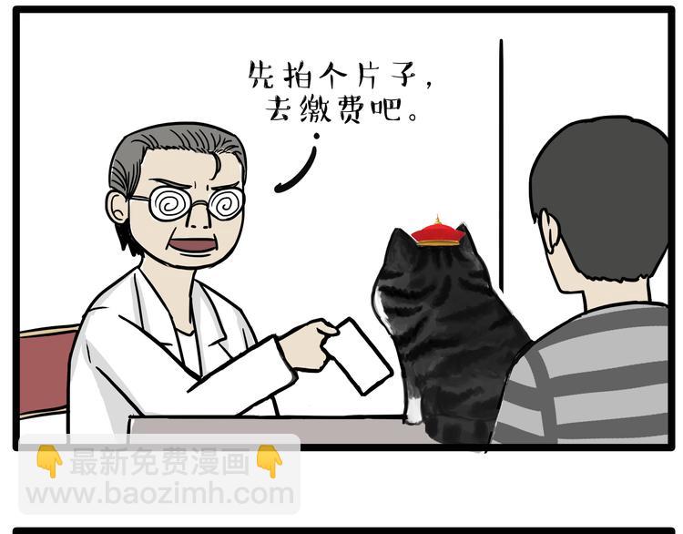 🍘吾皇巴扎黑 第79话 带宠物看病（下） 第2页