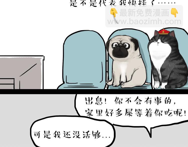 🍘吾皇巴扎黑 第79话 带宠物看病（下） 第20页