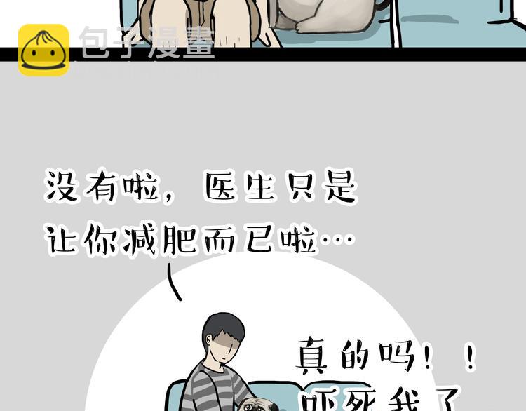 🍘吾皇巴扎黑 第79话 带宠物看病（下） 第27页