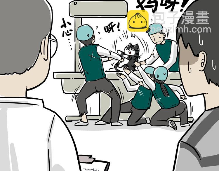 🍘吾皇巴扎黑 第79话 带宠物看病（下） 第7页