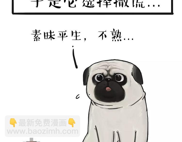 🍘吾皇巴扎黑 第91话 好朋友 第11页