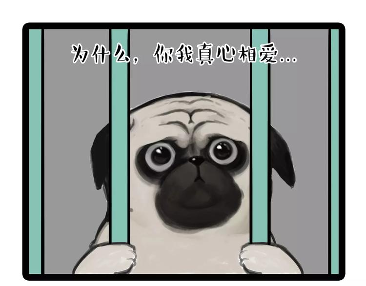 🍘吾皇巴扎黑 第93话 越狱 第1页