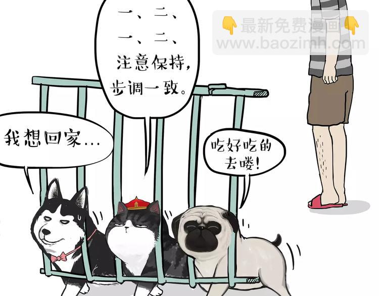 🍘吾皇巴扎黑 第93话 越狱 第37页