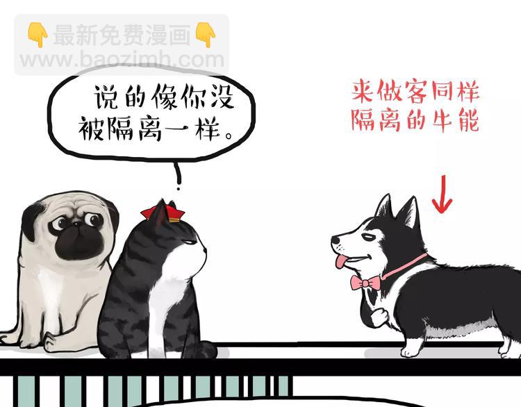 🍘吾皇巴扎黑 第93话 越狱 第6页