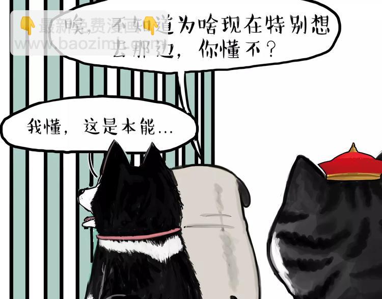 🍘吾皇巴扎黑 第93话 越狱 第7页
