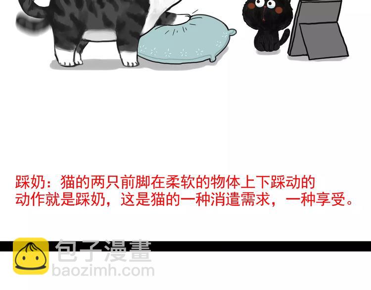 🍘吾皇巴扎黑 第95话 一辈子在一起 第12页