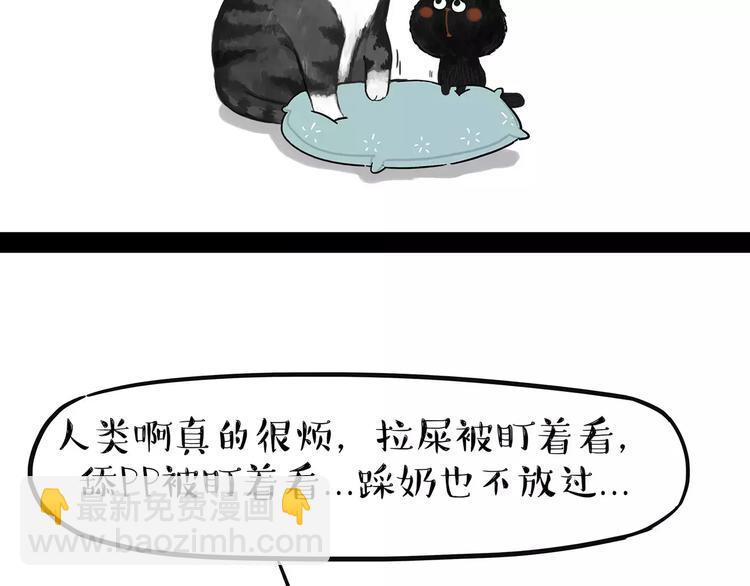 🍘吾皇巴扎黑 第95话 一辈子在一起 第14页
