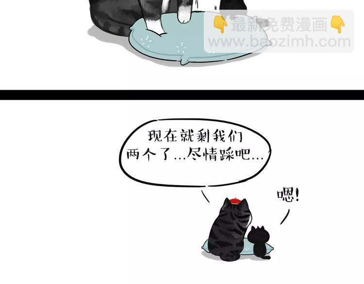 🍘吾皇巴扎黑 第95话 一辈子在一起 第17页