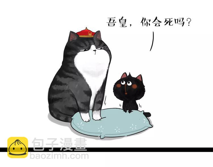 🍘吾皇巴扎黑 第95话 一辈子在一起 第21页