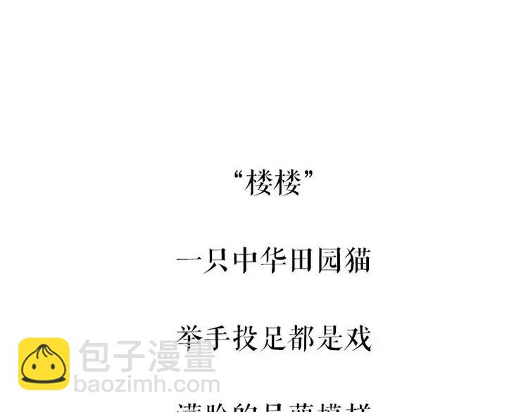 🍘吾皇巴扎黑 第95话 一辈子在一起 第31页